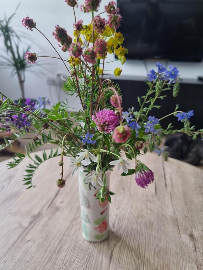 Apartman Nana Divčibare Eksteriør bilde